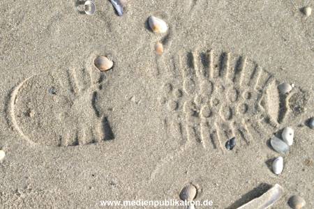 amrum 04 04 divers 015