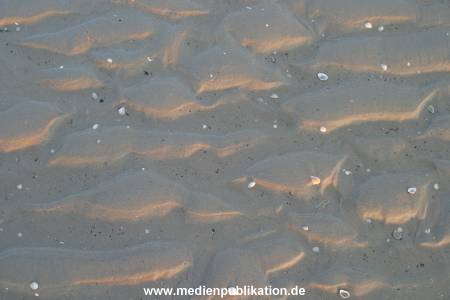 amrum 04 04 divers 022
