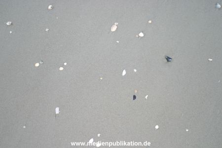 amrum 04 04 divers 025