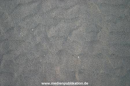 amrum 04 04 divers 028