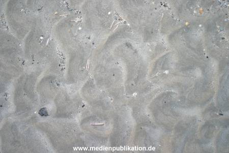 amrum 04 04 divers 029