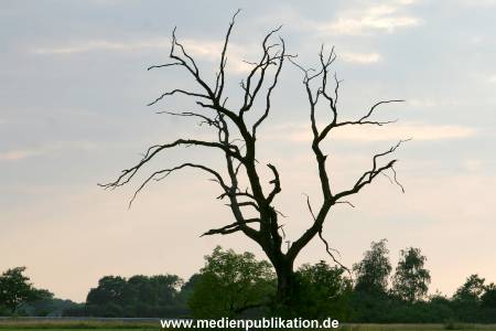 Gut Kaden 24072005 082