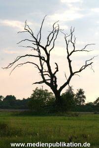 Gut Kaden 24072005 083