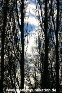hafen 2003 005