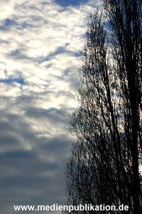 hafen 2003 032