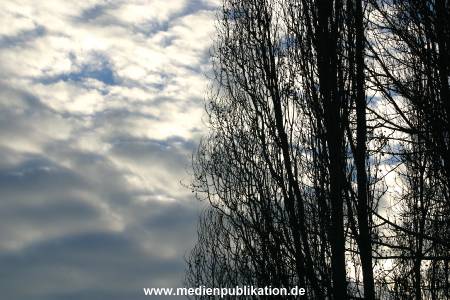 hafen 2003 033