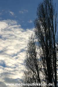 hafen 2003 034