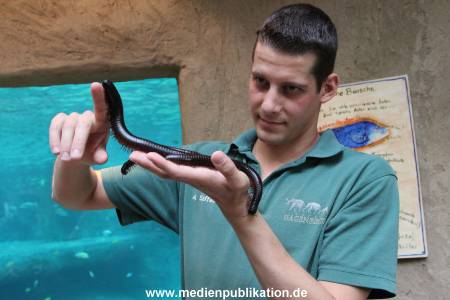 Hagenbeck 29112010 028
