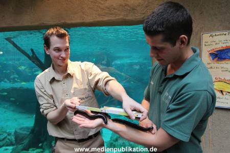 Hagenbeck 29112010 030