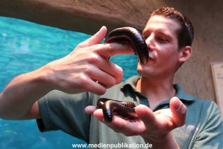 Hagenbeck 29112010 032