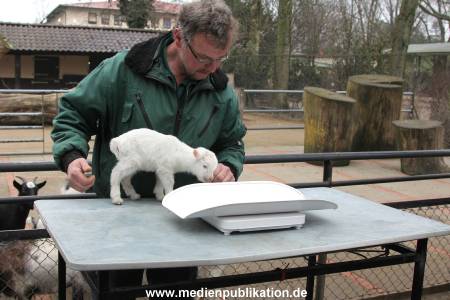 Hagenbeck Inventur 02032012 030