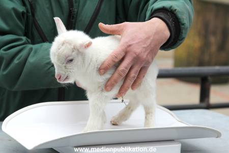 Hagenbeck Inventur 02032012 031