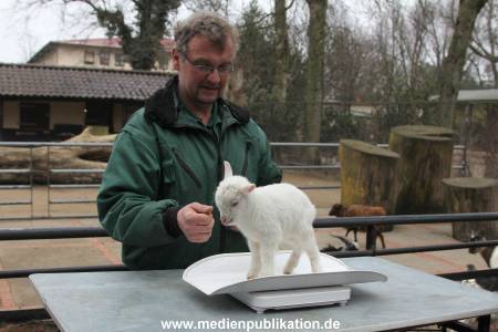 Hagenbeck Inventur 02032012 035
