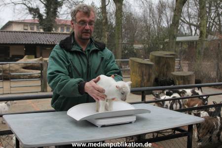 Hagenbeck Inventur 02032012 037