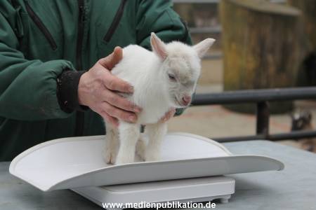 Hagenbeck Inventur 02032012 038