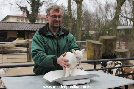 Hagenbeck Inventur 02032012 039