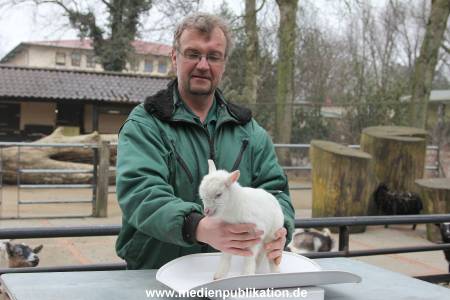 Hagenbeck Inventur 02032012 041