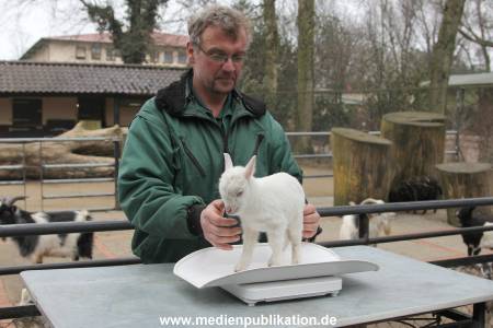 Hagenbeck Inventur 02032012 042