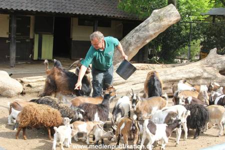 Hagenbeck Inventur 16052013 022