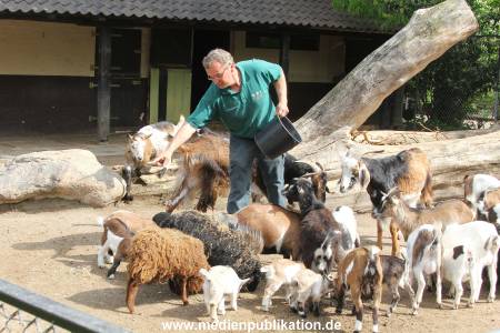 Hagenbeck Inventur 16052013 024