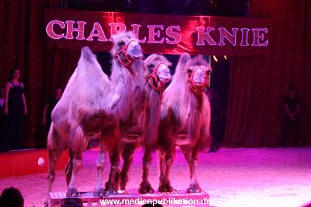 Charles Knie 30052018 157