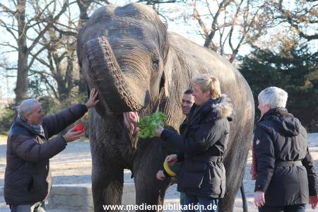 Hagenbeck 25112013 031