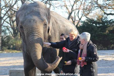 Hagenbeck 25112013 033