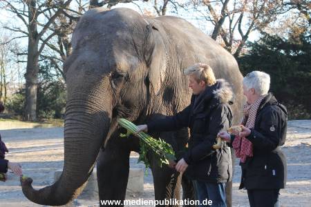Hagenbeck 25112013 034