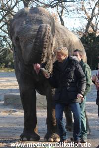Hagenbeck 25112013 056