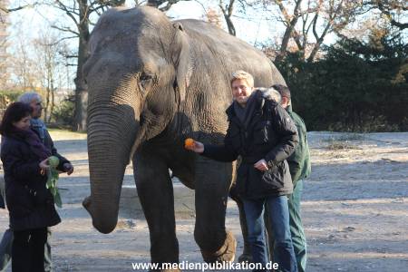 Hagenbeck 25112013 058