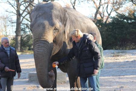 Hagenbeck 25112013 059