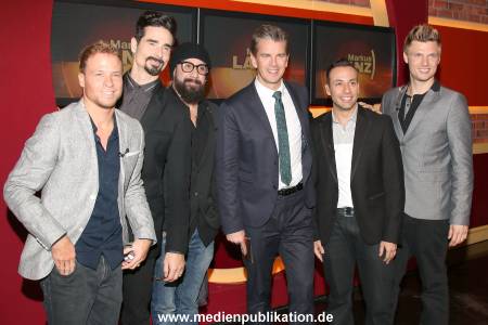 Lanz Sendung1 19112013 053