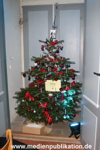 Basthorst 01122012 007
