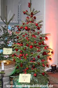 Basthorst 01122012 037