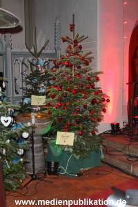 Basthorst 01122012 068