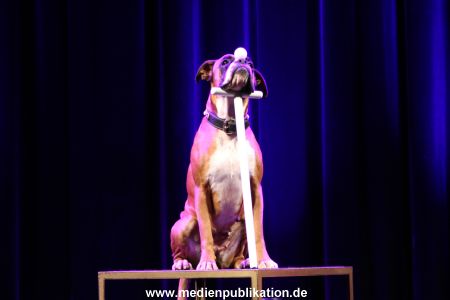 Hansa Theater Probe 06102014 022