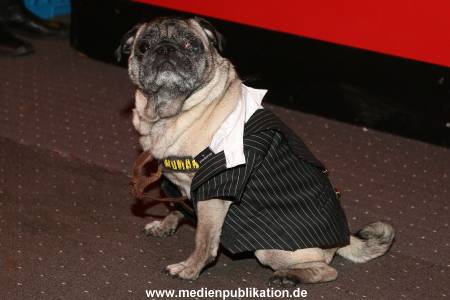 Boehrs 16012015 092