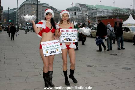 Peta 16122008 004