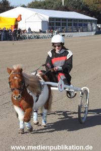 Bahrenfeld 16102011 076
