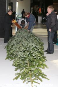 Kinderjahre Wishtree 25112013 001