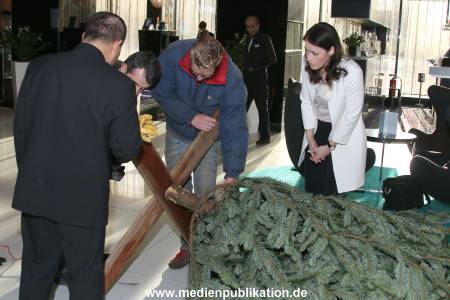 Kinderjahre Wishtree 25112013 004