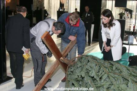 Kinderjahre Wishtree 25112013 005