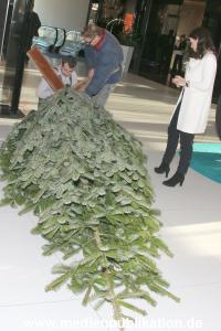 Kinderjahre Wishtree 25112013 009