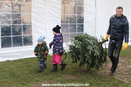 Glantz Promi Baumsaegen 11122016 114
