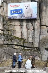 HagenbeckEisbär 07082023 029