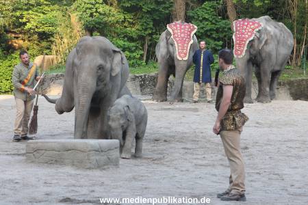Hagenbeck Dschungelnacht 28052016 045