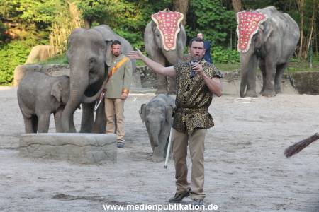 Hagenbeck Dschungelnacht 28052016 046