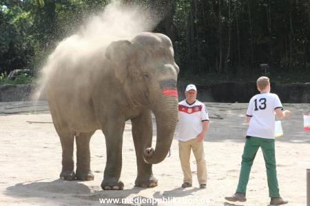 Hagenbeck 09062016 002