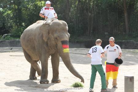 Hagenbeck 09062016 003