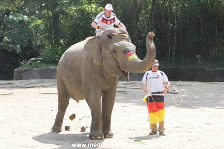 Hagenbeck 09062016 005
